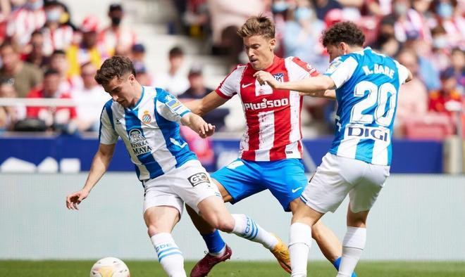 肋部直塞 肋部直塞